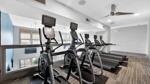A row of treadmills in a gym with a view of the outside.