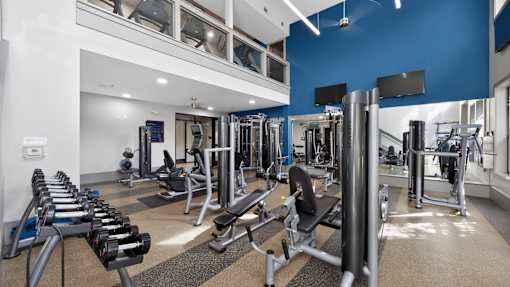 A gym with a blue wall and a variety of equipment.