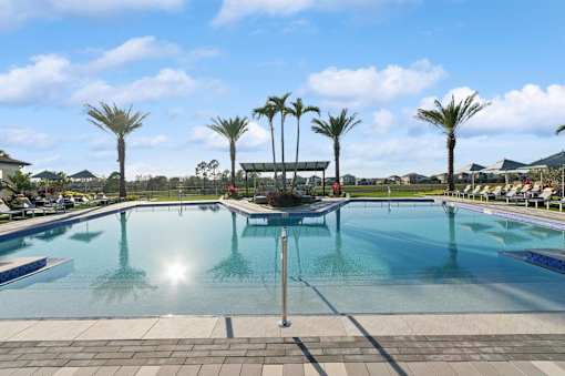 A pool with palm trees in the background.