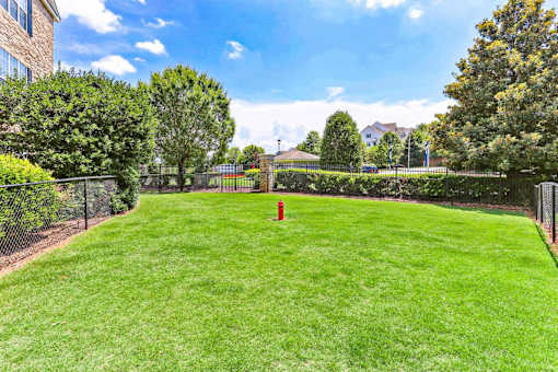 A red fire hydrant sits in the middle of a green lawn.