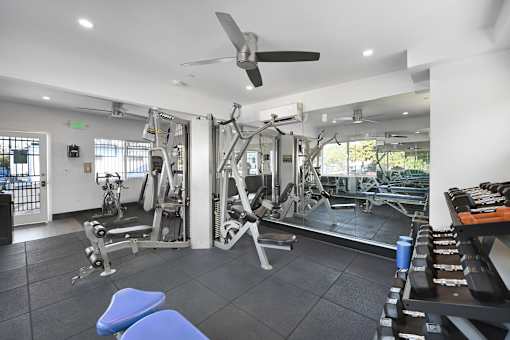 A spacious gym with a variety of equipment including a squat rack, bench, and weights.