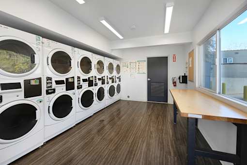 A laundromat with rows of washing machines and a bench.