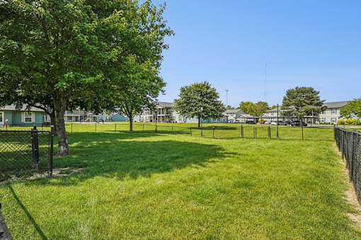 A green grassy field with trees and a fence.