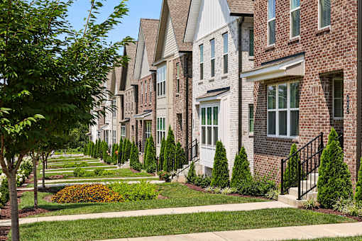 A row of houses with a tree in the foreground.