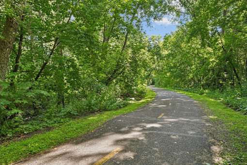 A tree-lined road stretches into the distance.