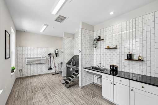 A modern kitchen with white cabinets and black countertops.