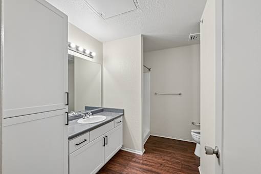 A bathroom with a sink, mirror, and toilet.
