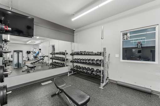 A gym with a bench, weights, and a television.