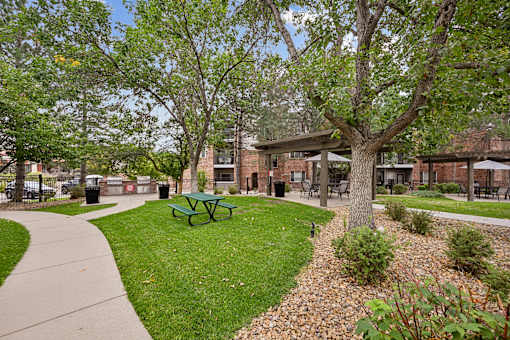 A park with a picnic table and a dog.