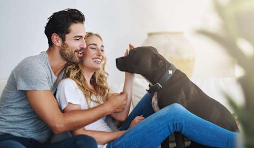 A man and woman are sitting on a couch with a dog between them.