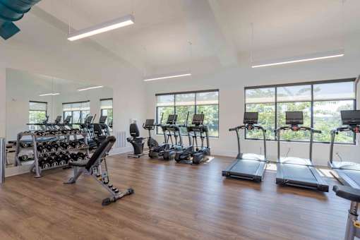 A gym with treadmills, elliptical machines, and weights.