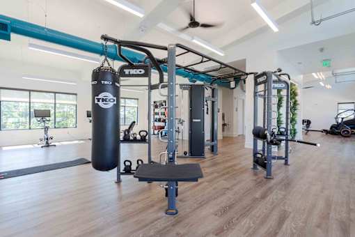 A gym with a punching bag and weightlifting equipment.