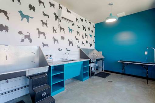 A kitchen with a blue wall and a white counter.