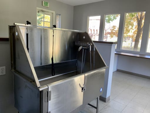 Sonoma Resort at Saddle Rock - Stainless Steel Pet Washing Station with Water and Leashes
