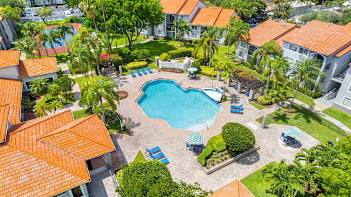 A swimming pool surrounded by palm trees and blue lounge chairs.