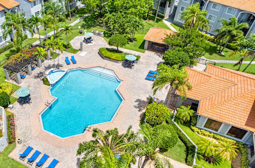 A swimming pool surrounded by palm trees and blue lounge chairs.