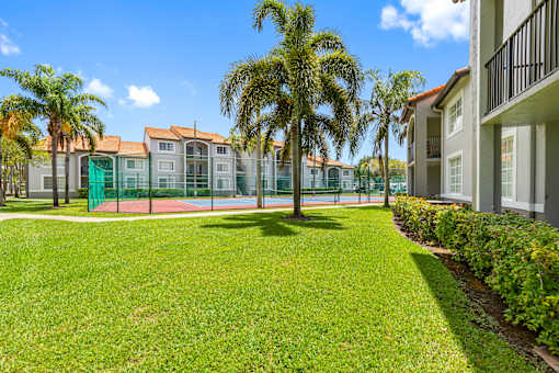 A tennis court is surrounded by a green fence and palm trees.