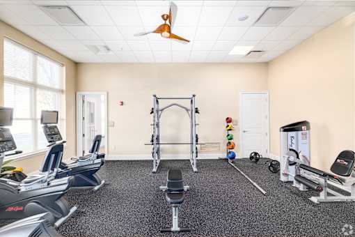 A gym with a variety of equipment including treadmills, weights, and a bench press.
