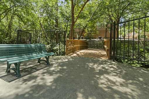 A park bench sits in the shade of a tree.