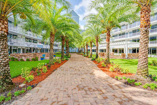 a courtyard with palm trees and a brick walkway