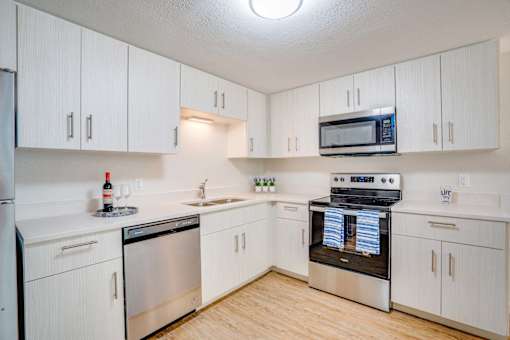 kitchen with stainless steel appliances. microwave, dishwasher, range