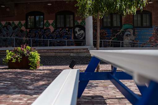 A bench in the foreground with a building and graffiti in the background.