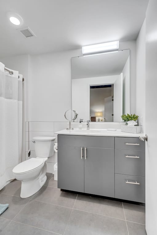 A modern bathroom with a toilet, sink, and mirror.