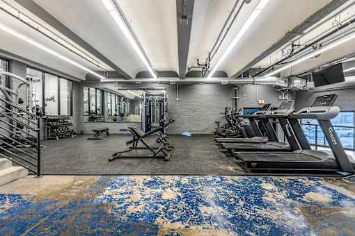 A gym with treadmills, weights, and exercise equipment.
