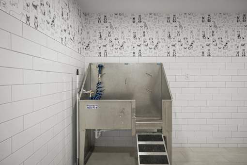 A stainless steel sink in a white tiled bathroom.