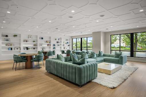 A modern living room with a green sofa and a white rug.