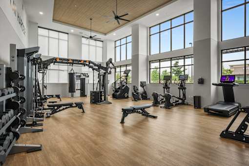 A gym with a variety of equipment including a weight bench, a treadmill, and a rowing machine.