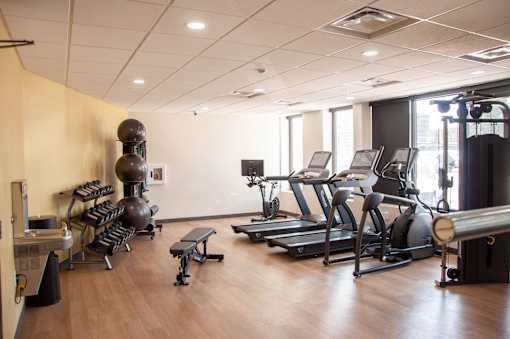A gym with a variety of equipment including treadmills, weights, and a bench.