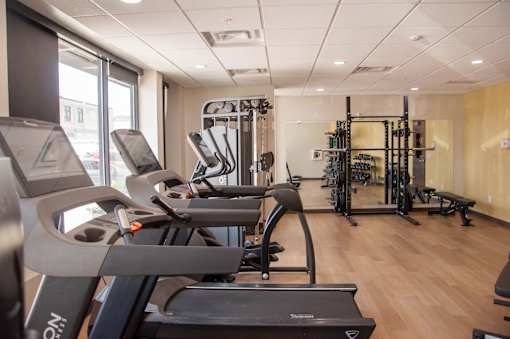 A gym with treadmills and other exercise equipment.