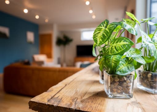 a wooden table with plants on it