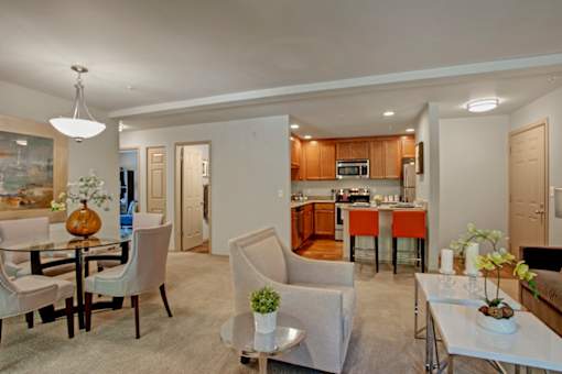 A bright living and dining area here at Windsong featuring beige armchairs, a glass dining table, and orange kitchen barstools. Inviting space with soft carpet, warm wood cabinetry, and an open, welcoming layout filled with light.