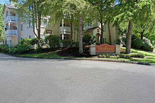 A community entrance here at Windsong featuring a welcoming monument sign, lush landscaping, tall mature trees, and a clean driveway, creating an attractive and inviting first impression along the tree-lined street.