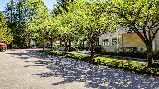 A tree-lined community drive here at Windsong featuring mature shade trees, landscaped greenery, and well-maintained buildings. This peaceful and inviting setting offers a welcoming entrance and a calm, neighborhood atmosphere.
