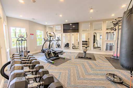 A well-equipped gym with a variety of exercise machines and weights.