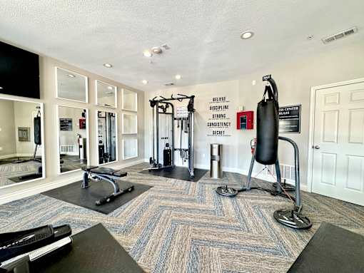 A gym with a variety of equipment including a punching bag.