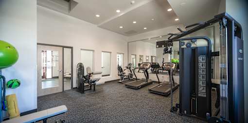 A gym with treadmills, weights, and exercise equipment.