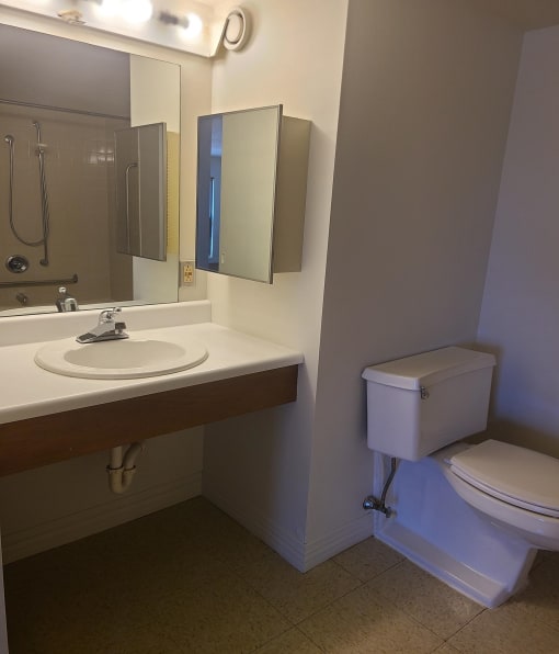 a bathroom with a toilet sink and mirror