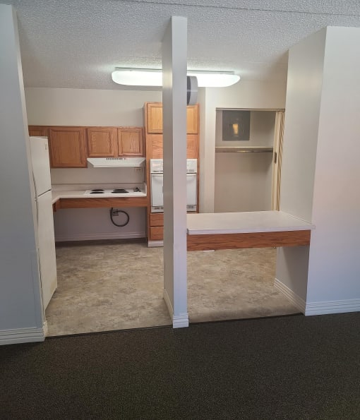 a view of the kitchen and living room of a 560 square foot, 1 bedroom apartment at