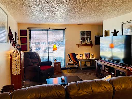 A living room with a couch, chair, and television.