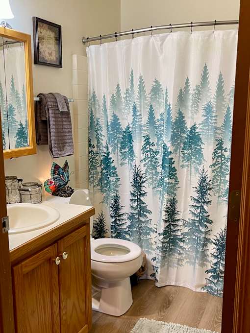 A bathroom with a toilet, sink, and shower curtain.