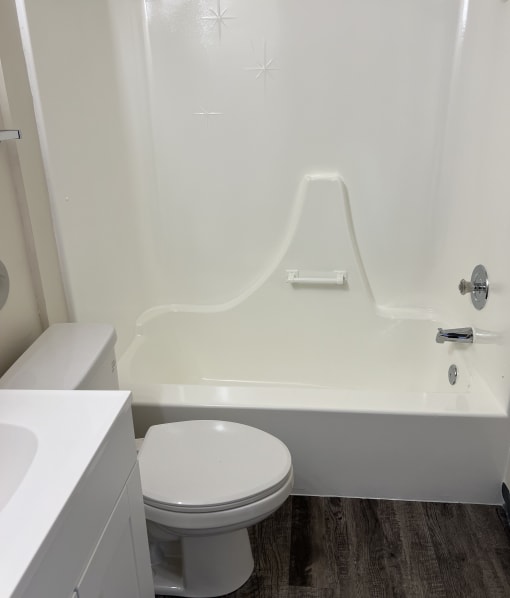 a bathroom with a toilet and a bath tub
