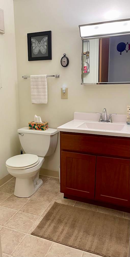 A white toilet sits next to a sink in a bathroom.