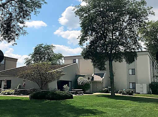 A large tree stands in front of a building.
