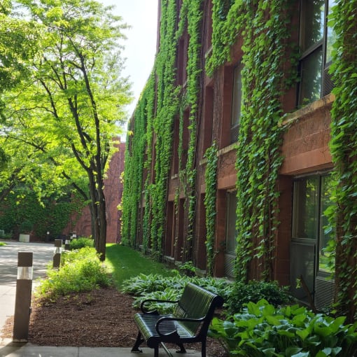 a bench in front of a building covered in ivy