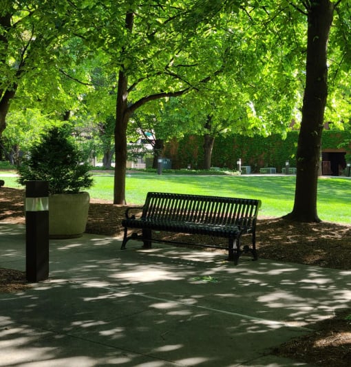 a park bench in the shade of a tree