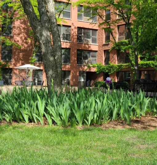 a bed of flowers in front of a brick building